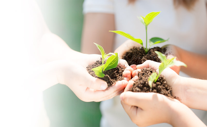 世界杯投注网站