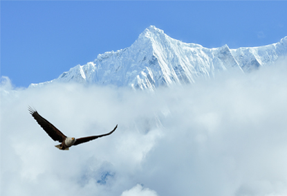 世界杯投注网站