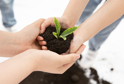 世界杯投注网站