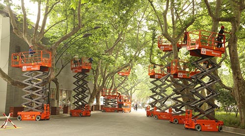 世界杯投注网站